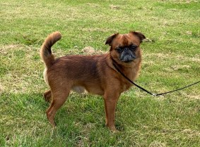 20190623_154218045_iOS