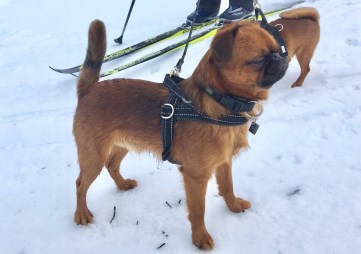 20191002_060757000_iOS