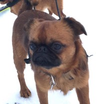 20191002_060808000_iOS